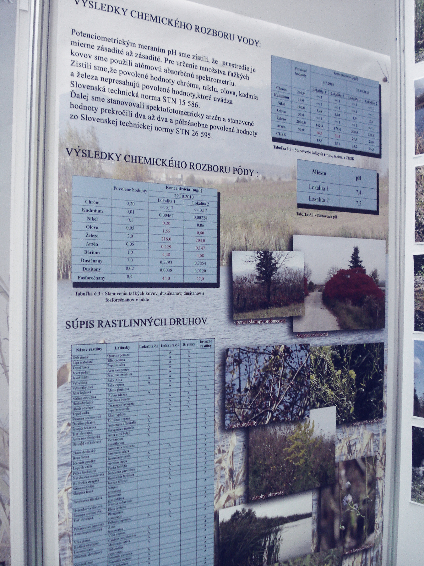 Scientia Pro Futuro – TVT 2010
