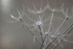 PUPA LIGHT 3