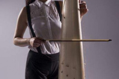 Passbass