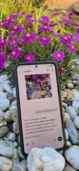 1. miesto: Diana Ďuriníková Názov: Múdrosť vo farbách